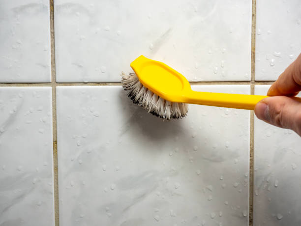 Best Mold Remediation  in Hanover, PA